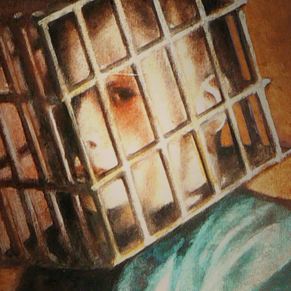 AN26